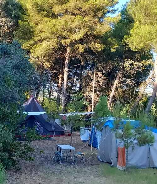 Campsite - 1